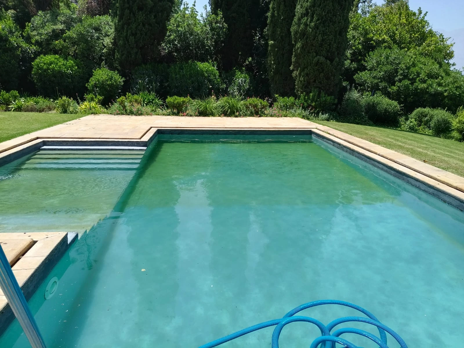 Piscina con el agua verdosa y turbia antes del tratamiento